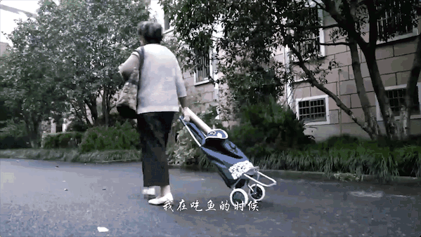 厨余垃圾|88岁老奶奶总在菜市场捡鱼骨头，原因让人惊叹！