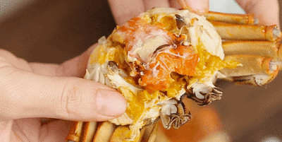 吃了"秋天的第一只螃蟹",结果肺里长满虫!