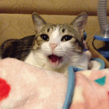 10月起 邵武人的上班时间要变!