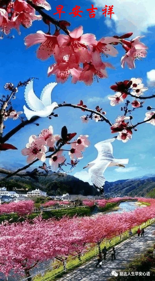 530_960竖版 竖屏gif 动态图 动图