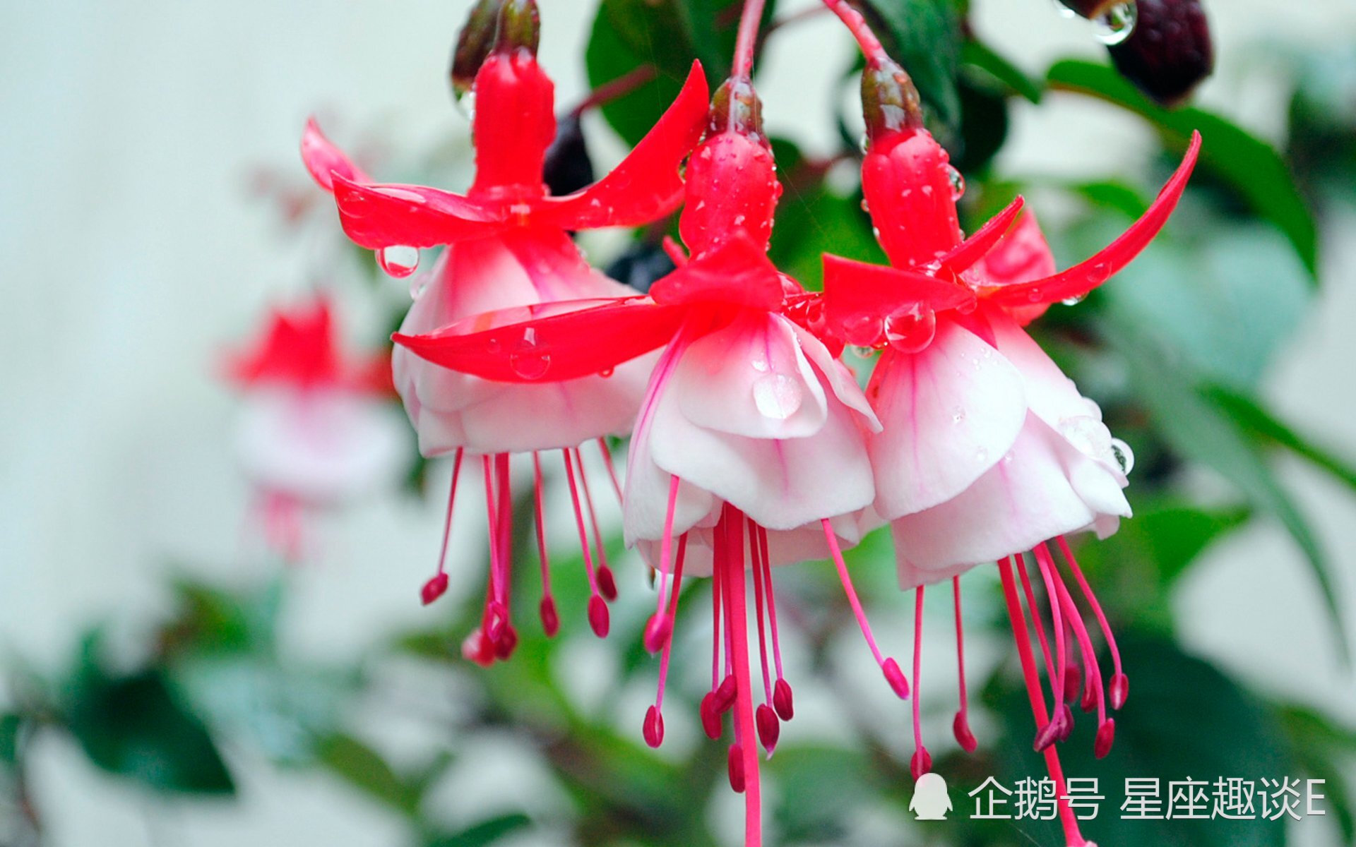 9月27日 10月3日星座運勢 巨蟹座親和力強 射手座實力大增 互動頭條