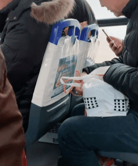 猫包|公交车上传来猫叫声，一转头却被萌到了：太可爱了吧？