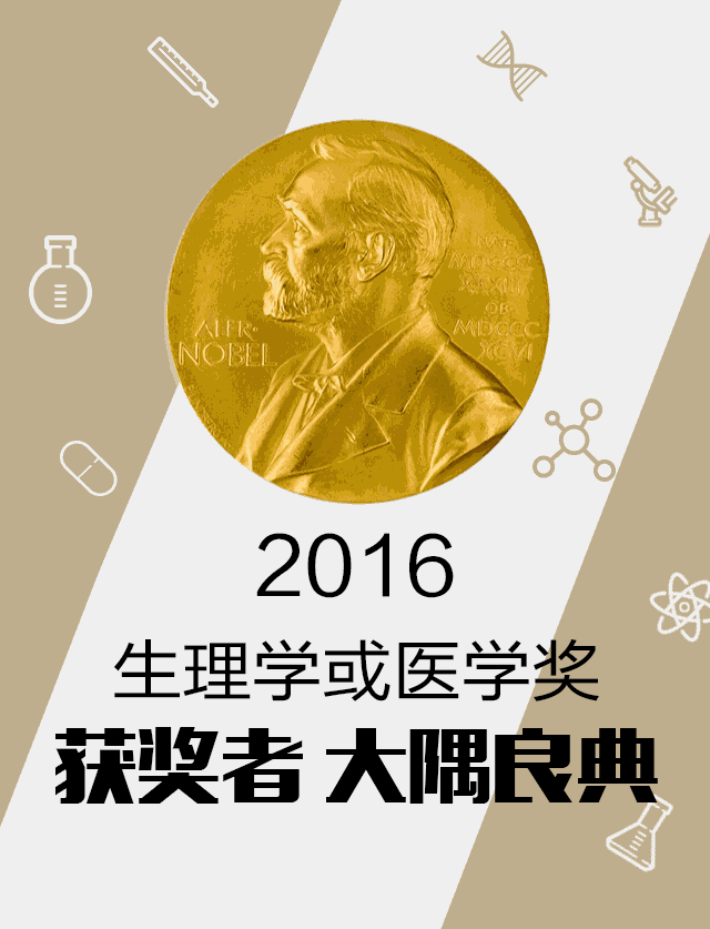 大隅良典|日本凭什么连续20年每年获得一个诺奖？看看大隅良典的传奇人生