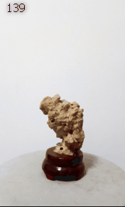 奇石|奇石交流的圈子会继续壮大吗？