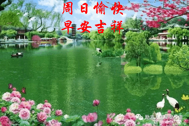 20206112616星期天早上好