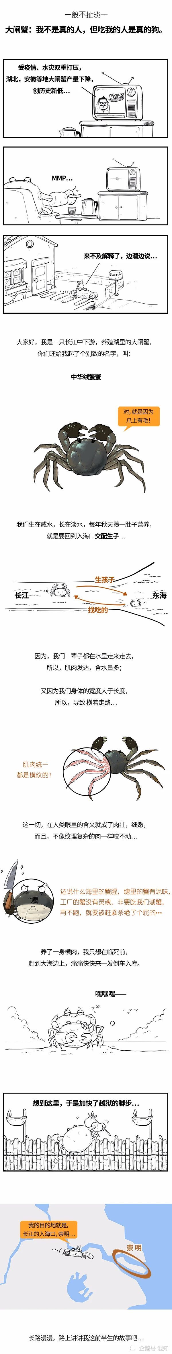 大闸蟹|大闸蟹：我可能不是人，但你们人类是真的狗！