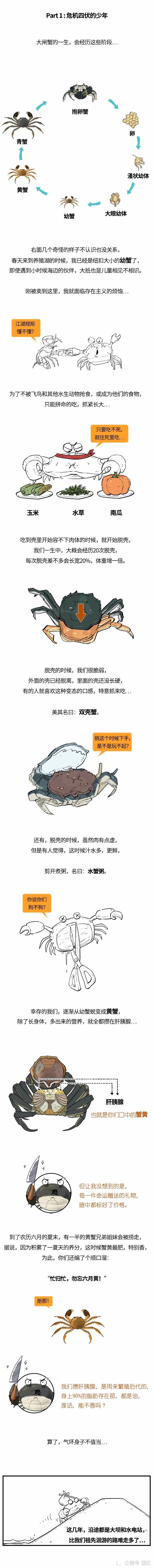 大闸蟹|大闸蟹：我可能不是人，但你们人类是真的狗！