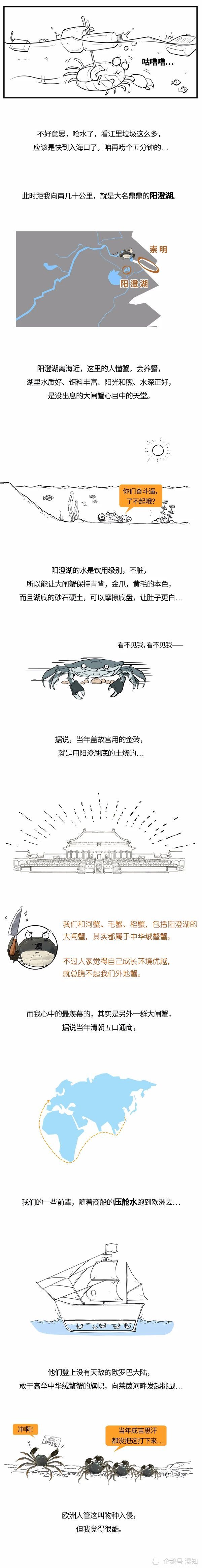 大闸蟹|大闸蟹：我可能不是人，但你们人类是真的狗！