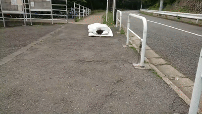 妹子|日本少女挖空字典只为上课偷吃，几万人在网上共同围观她的沙雕生活