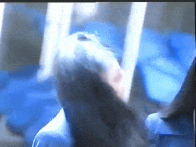 张庭|张庭夫妇斥巨资买上海整栋楼：被骂18年，她却活成百亿阔太？