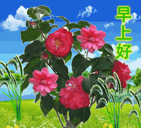 8月28日早上好最棒问候表情祝福语录 清晨最美祝福美图