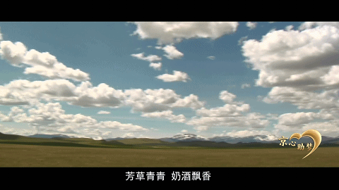 合作社|赶着牛群奔小康