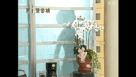 天心|曾经比邱淑贞性感，45岁的她脸僵到不敢认…