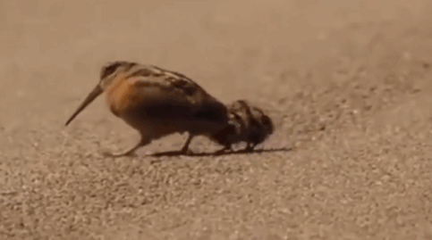 陈伟霆|陈伟霆公布臀围，被赞“男版卡戴珊”