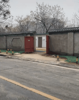 狗狗|刚迈出门去散步，感觉有眼睛盯着自己，抬头一看：在那瞅啥呢？