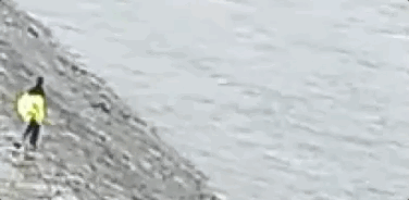 董俊锋|30秒，他飞奔而来，冲进长江！