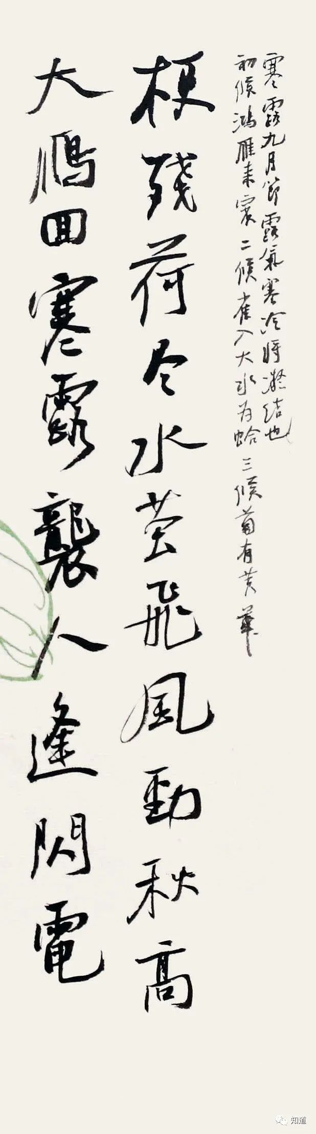 廿四节气|最美廿四节气——寒露！