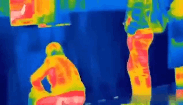 近视|吃萝卜会导致一直放屁吗？动物有近视眼吗？