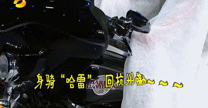 颜值|这个王牌节目要回来了，我跪着也要看