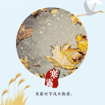 440_440gif 动态图 动图