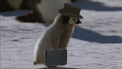 遗传|长相随爸，智商随妈？遗传的真相，终于有答案了