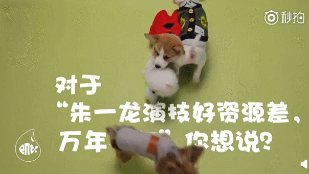 朱一龙|他，是演员朱一龙