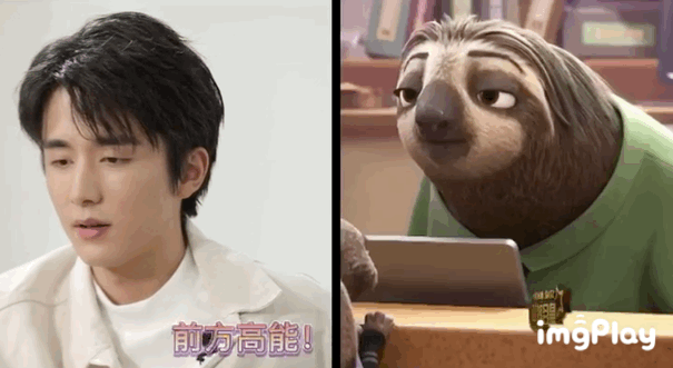 李荣浩|杨丞琳晒狗界李荣浩表思念，这些明星也有同款撞脸，最服周冬雨