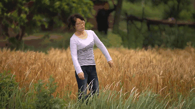芙蓉姐姐|43岁芙蓉姐姐近况曝光引热议：你不认命的样子，真好看
