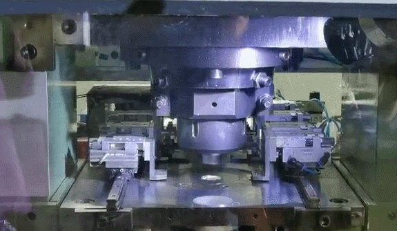 熊猫|刷屏！央视报道，2021熊猫纪念币亮相！