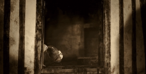 麝香猫|麝香、灵猫香、海狸香，这些动物的味道何以成为欧洲人的心头好？