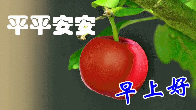 1月26日寒冷冬季特别漂亮的早上好问候图片微信清晨问候大家的早安