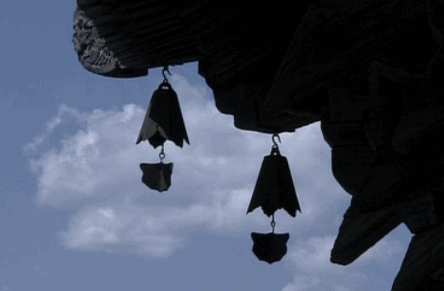 444_291gif 动态图 动图