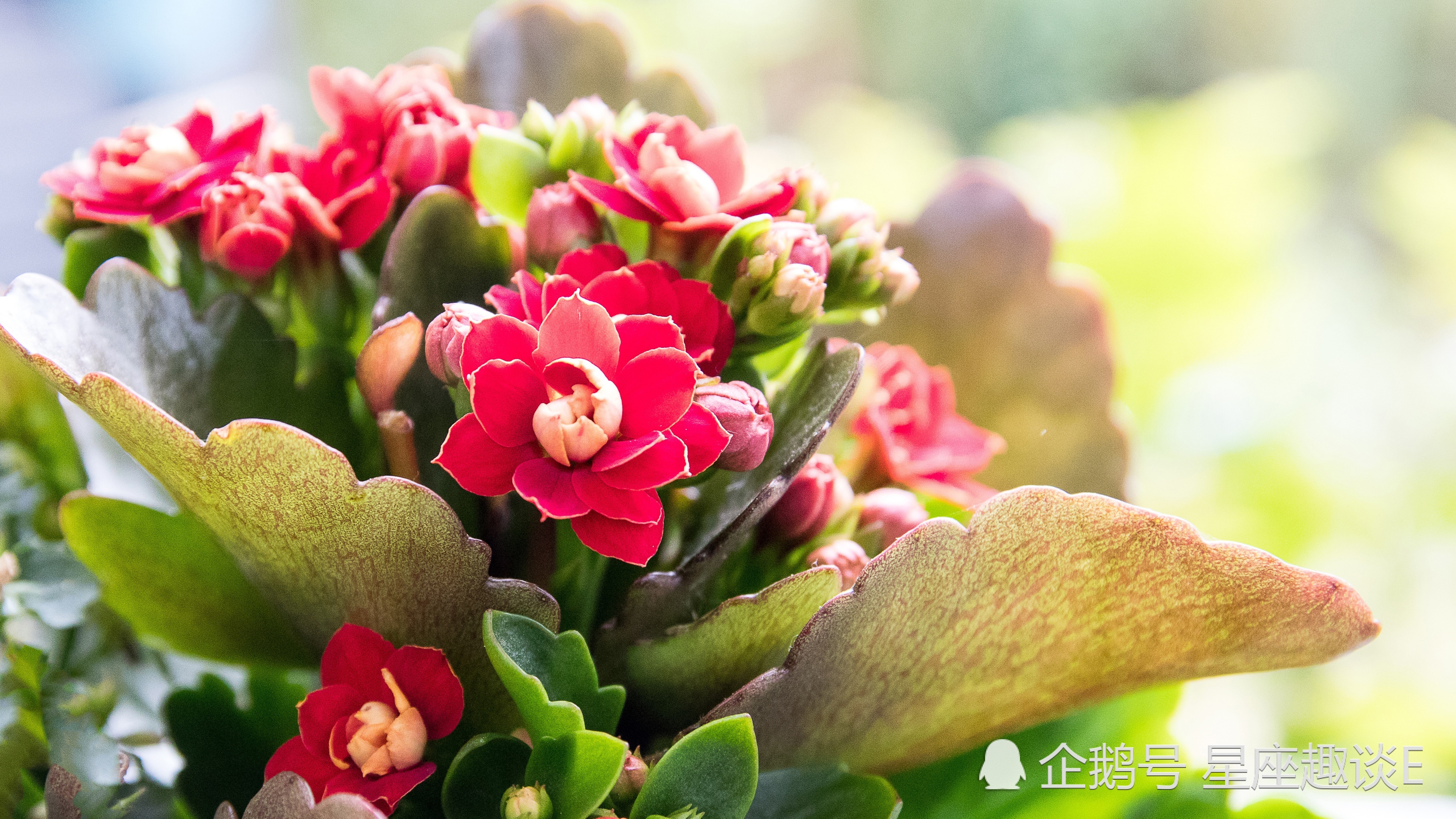 10月13日星座運勢扶搖直上 水到渠成的四大星座 互動頭條