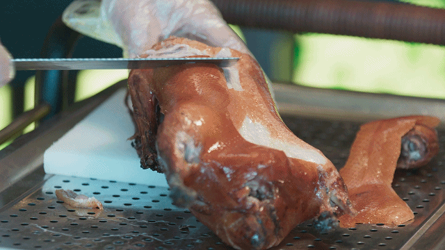 北京|跟着骆新《一路向北》，探索人与城交融的独家记忆