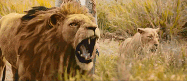 票房|票房低，口碑低，排片低，收获“三低”的《急先锋》到底得罪了谁