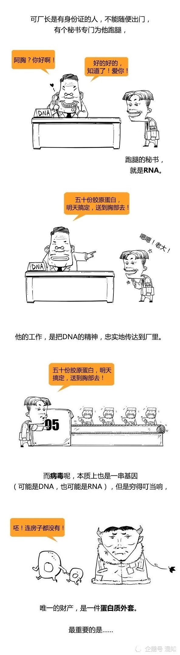 covid-19|混知小百科：再来看看 COVID-19