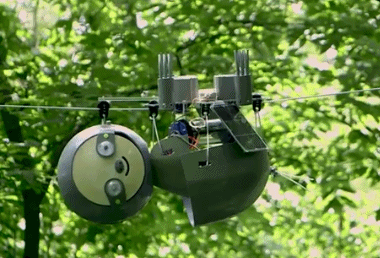 树懒|我们的“懒”被嫌弃，树懒的“懒”就能成为高科技