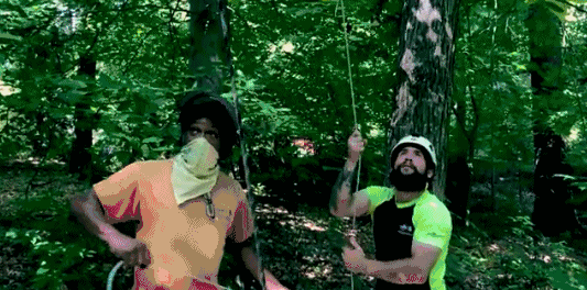 树懒|我们的“懒”被嫌弃，树懒的“懒”就能成为高科技