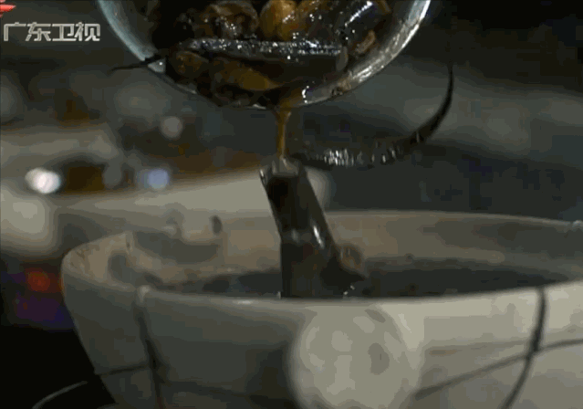 啫啫煲|他来了他来了！他端着个破煲走来了！