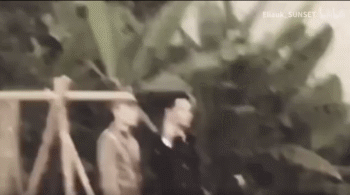 张婧仪|深夜独处仨小时，磕的cp成真了？