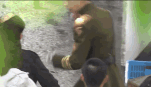 张婧仪|深夜独处仨小时，磕的cp成真了？