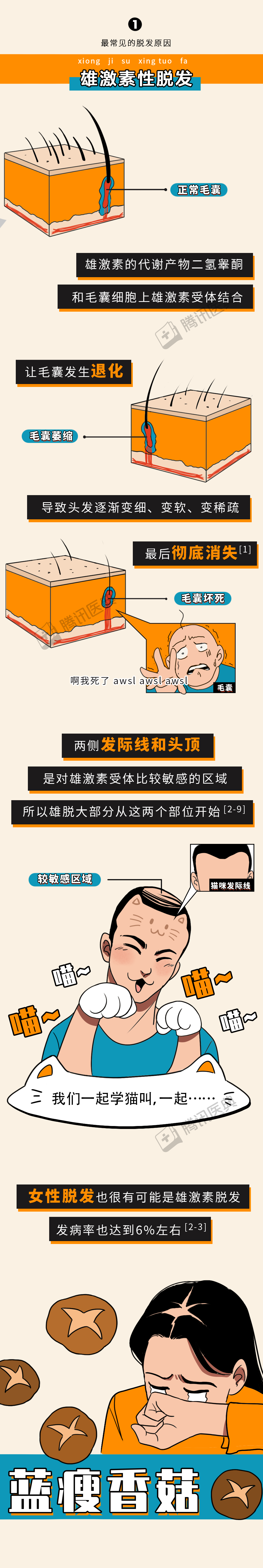 脱发|被脱发难倒的2.5亿中国人，大部分其实还有救！3招教你不再秃