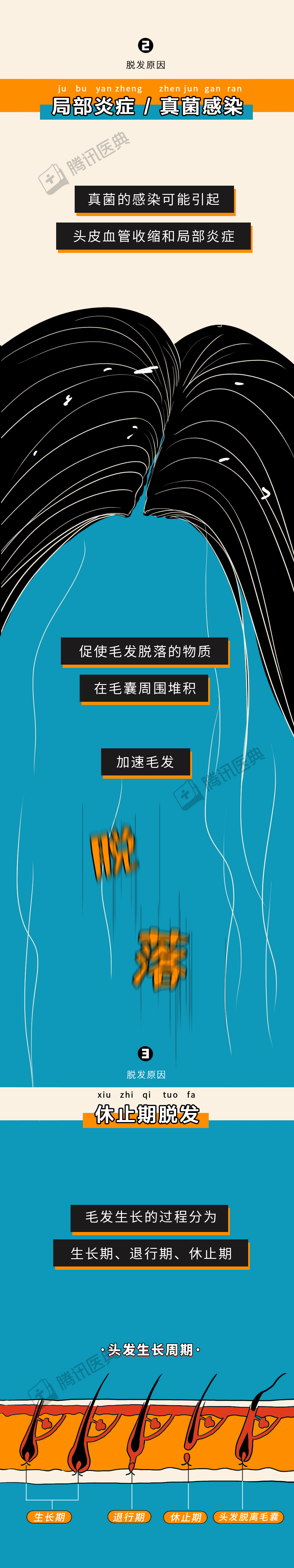 脱发|被脱发难倒的2.5亿中国人，大部分其实还有救！3招教你不再秃