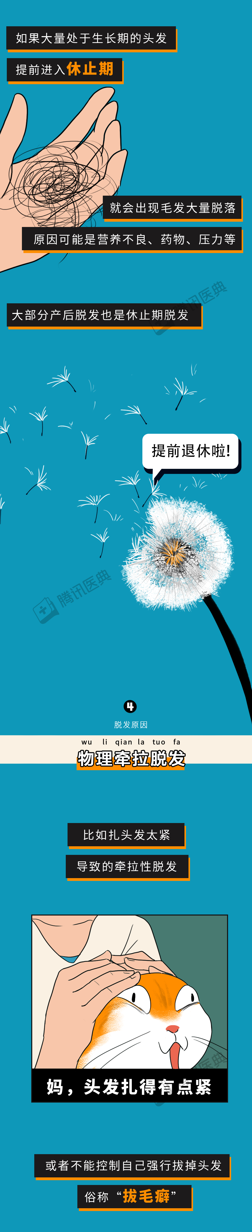 脱发|被脱发难倒的2.5亿中国人，大部分其实还有救！3招教你不再秃