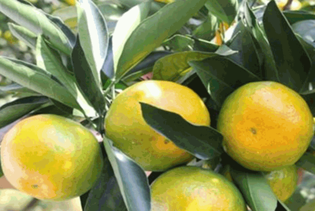 假期最后一天拒绝emo快来看看汉中人的专属fun