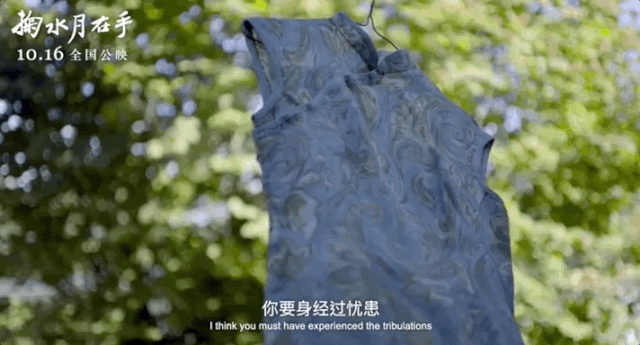 叶嘉莹|白先勇为她逃课，席慕蓉追随她，中国最后一位女先生到底有什么魅力？