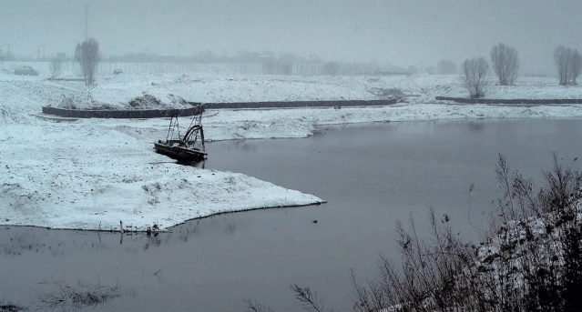 叶嘉莹|白先勇为她逃课，席慕蓉追随她，中国最后一位女先生到底有什么魅力？