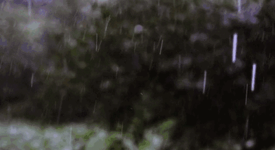 王灵|王灵｜想起一条河