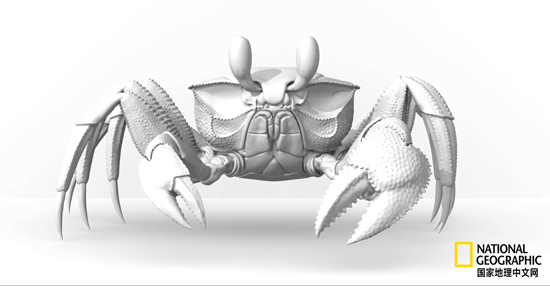 骨质疏松|这一堆堆的白骨，居然活了