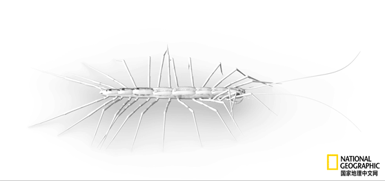 骨质疏松|这一堆堆的白骨，居然活了